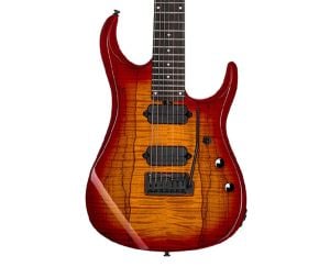 7,8 & 12-String - Electric Guitars - Guitar & Bass