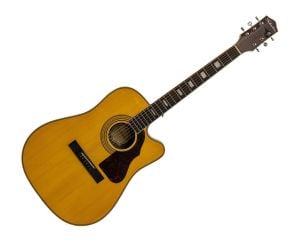 Acoustic Guitars at ProAudioStar.com