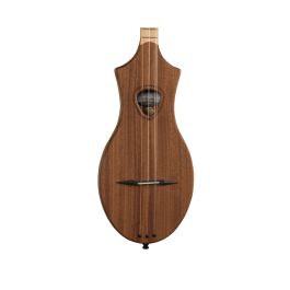 Seagull m4 mahogany 2025