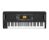 Korg EK-50 61-Key Arranger Keyboard - Open Box