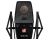 sE Electronics sE4100 Large-Diaphragm Condenser Microphone - Open Box