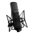 Solid State Logic ML-1A Slate Digital Condenser Modeling Microphone