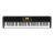 Korg XE-20 88-Key Home Digital Ensemble Piano w/ Accompaniment