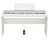 Korg B2WH 88-Key Digital Piano w/ Audio and MIDI USB - White