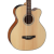 Takamine GB30CENAT Cutaway Acoustic/Electric Bass - Natural