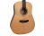 Gold Tone GT-Dread All Solid Acoustic-Electric Guitar w/Bag - Natural - Open Box