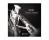 MusicalSampling Atelier Series Sasaki Trumpet(Proaudiostar.com)