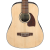 Ibanez PF2BE Acoustic-Electric Guitar w/Bag - Open Pore Natural