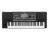 Korg PA-600 61-Key Workstation/Arranger - Open Box