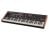 Dave Smith Prophet Rev2 16-Voice Analog Poly Synth