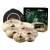 Zildjian S Extended Cymbal Pack - Open Box