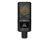 Lewitt RAY Condenser Microphone - Open Box