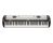 Korg SV-2-88S Expanded 