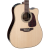 Takamine P5DC Pro Series NEX Cutaway A/E Guitar - Natural