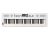 Roland GOKEYS5-WH Music Creation Keyboard - White - Open Box
