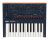 Korg Monologue Blue