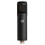 Warm Audio WA-47jr SE Condenser Microphone (Black)