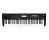Korg Kross 2 61 61-Key Synthesizer Workstation - Open Box