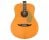 Open Box Fender Palomino Vintage A/E Guitar - Aged Natural w/ Ovangkol FB
