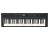 Roland GOKEYS5-GT Music Creation Keyboard - Graphite - Open Box