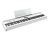 Roland FP-60X-WH Digital Piano with Speakers - Open Box