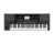 Korg PA300 61 Key Professional Arranger