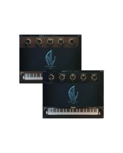 Boz Digital New York L Bundle
