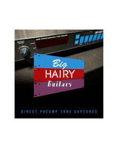 IK Multimedia Big Hairy Guitars_ADA MP-1 Tone Collection