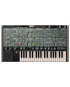 Rclifetimekey SYSTEM-100 Key