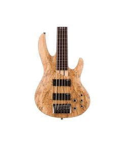 ESP LTD B-205SM Fretless 5-String Bass Guitar - Natural Satin