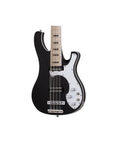 Schecter Stargazer-12 12-String Bass Guitar - Gloss Black