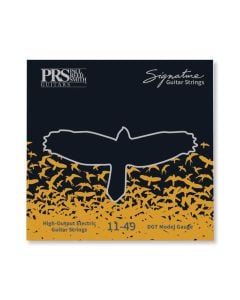 PRS Signature David Grissom Electric Guitar Strings - 11-49