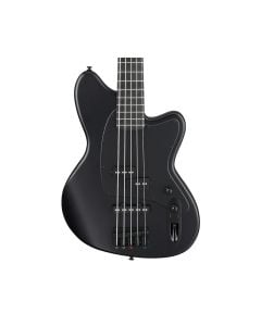 Ibanez TMB425BBKF Talman 5-String Bass Guitar - Black Flat