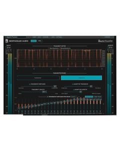 Newfangled Punctuate (Proaudiostar.com)