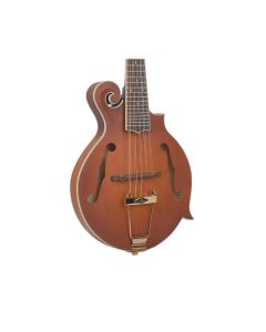 6 string mandolin guitar sale