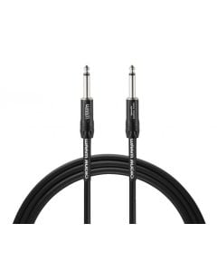 Warm Audio Pro-TS-10'