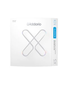 Daddario exp17 2025