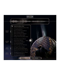 Boom Library Sonuscore Esraj & Erhu - Ethnic String Phrases