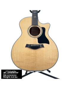Used Taylor 424ce LTD Grand Auditorium Urban Ash w/OHSC