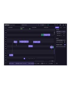 Synchro Arts RePitch 2 Standard