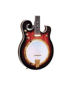 Gold Tone EBM-5 Electric Solidbody 5-String Banjo