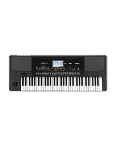 Korg PA300 61 Key Professional Arranger