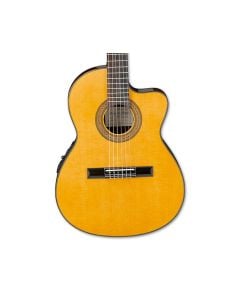 Ibanez GA5TCE Thinline Classical A/E Guitar