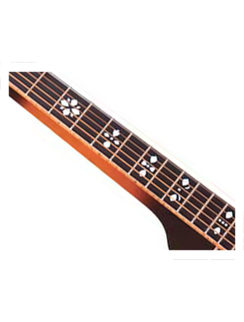 Gold Tone PBS-D Paul Beard Sig. Resophonic Deluxe Squareneck Guitar - Open Box