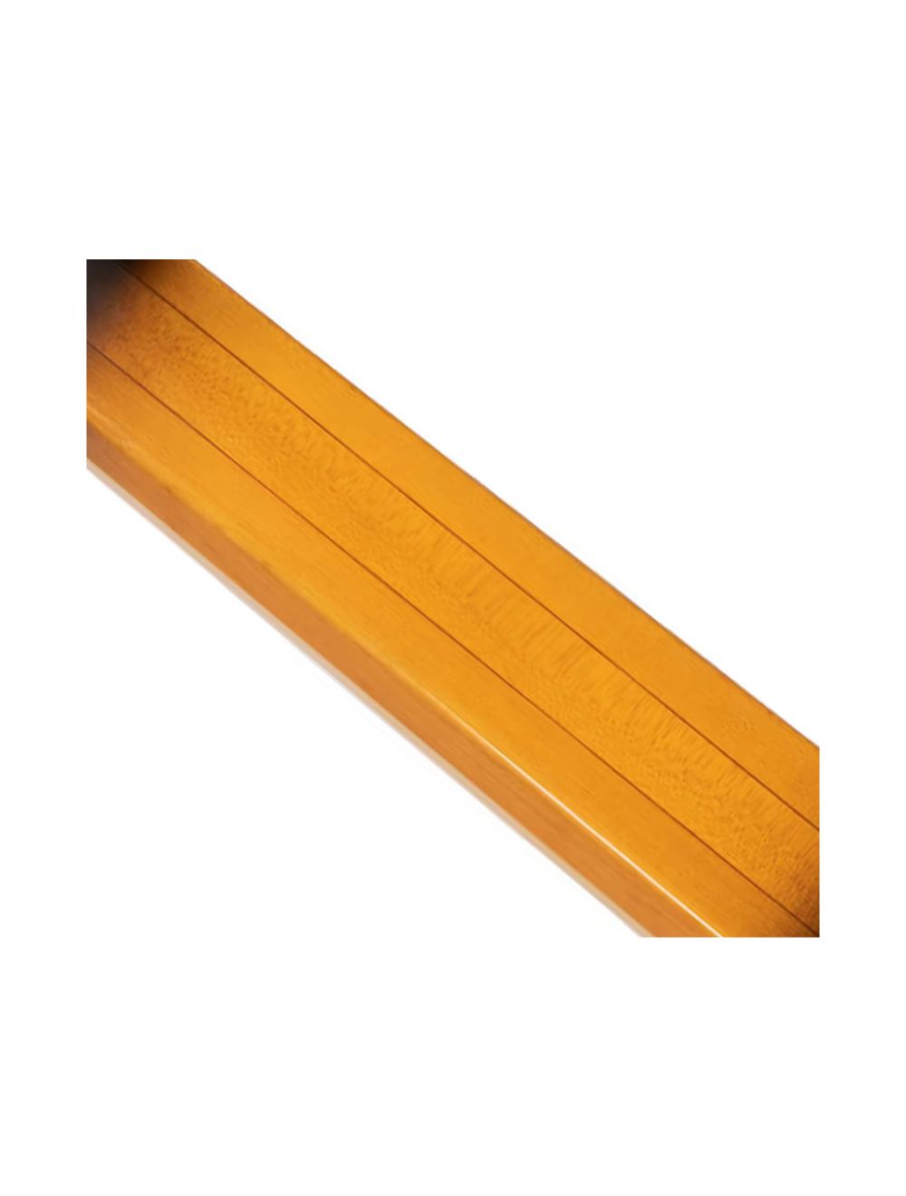 Gold Tone 8-String Solid Body Lap Steel