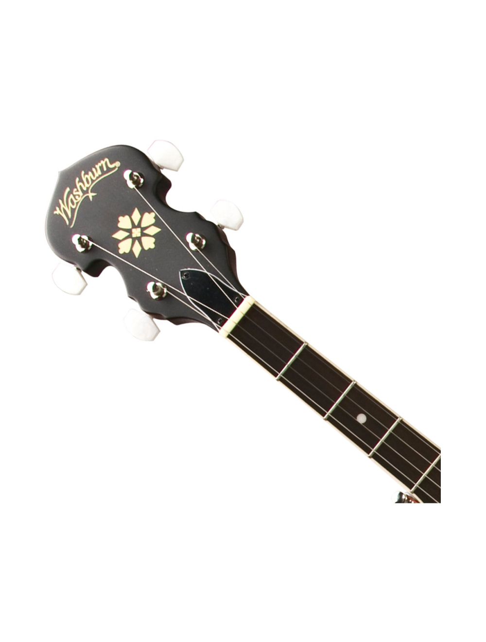 Washburn b7 banjo 2025
