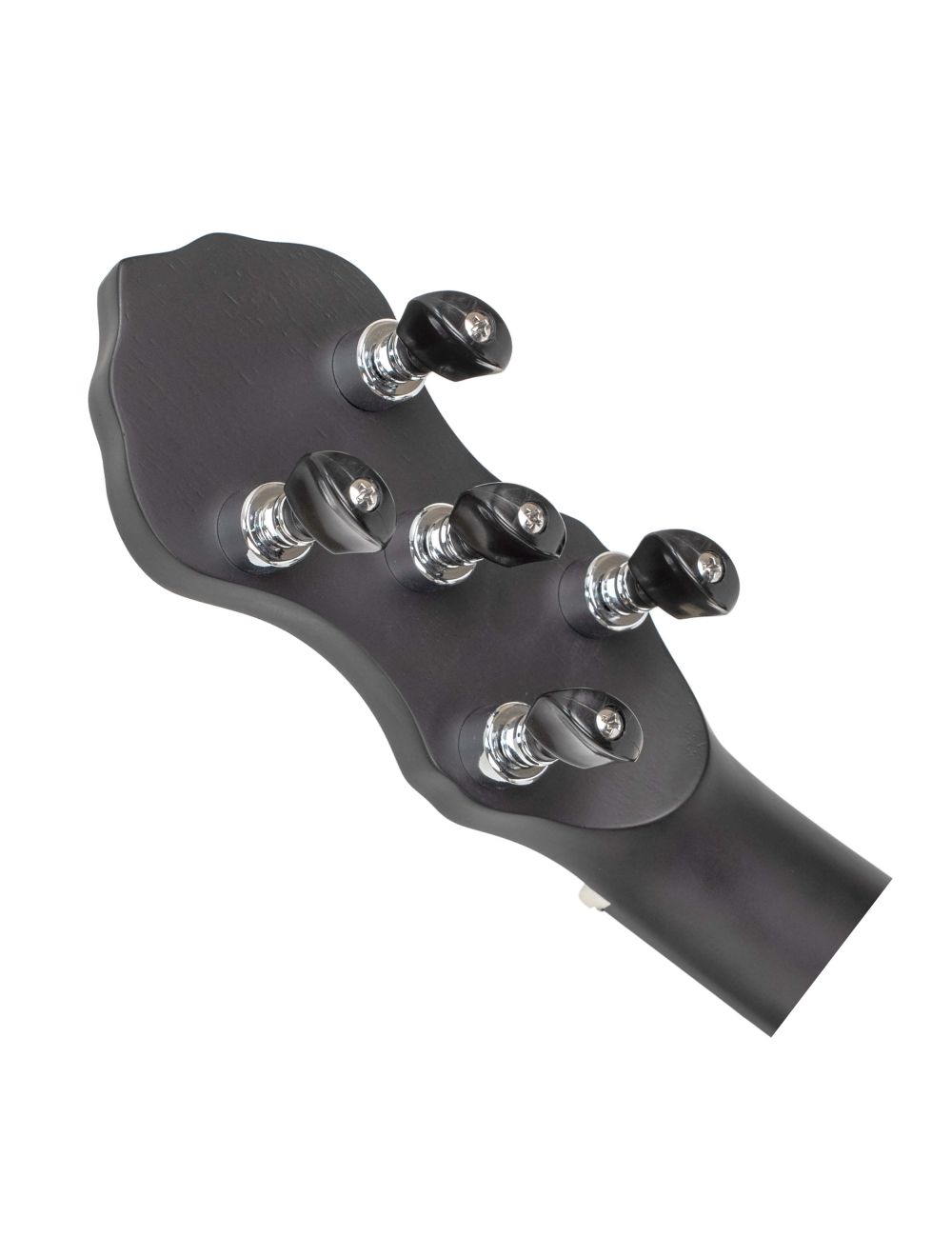 Gold Tone AC-5+1S Acoustic Composite 6-Str Banjo w/Scoop and Gig Bag - Open Box