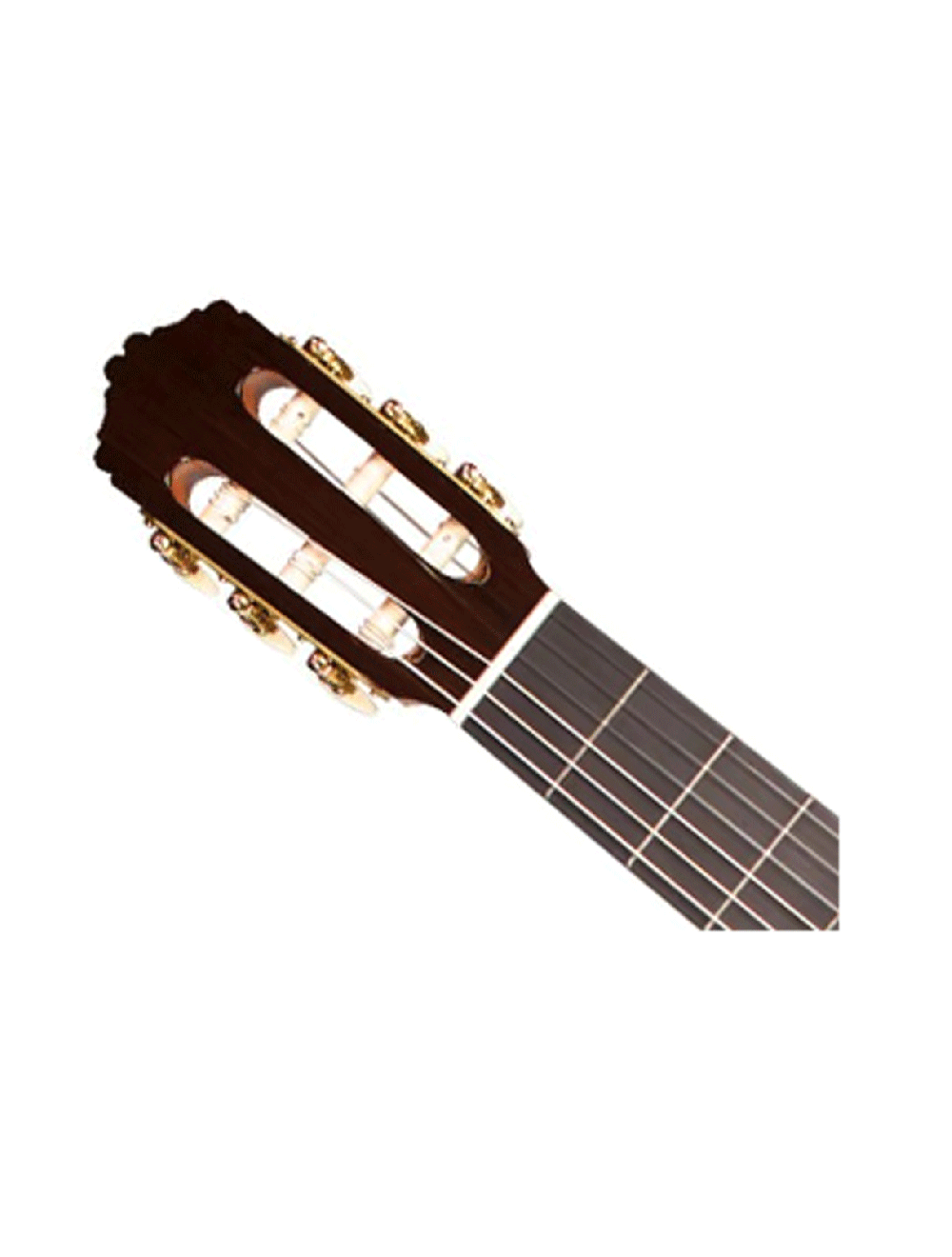 Cordoba USA Rodriguez Nylon String Guitar
