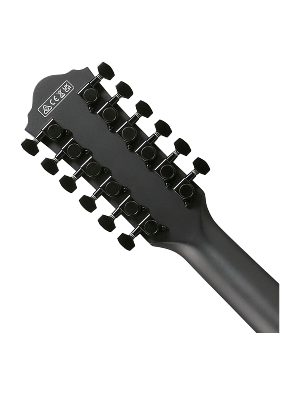 Used Ibanez AEG1221 12-String Acoustic-Electric Guitar - Black Out