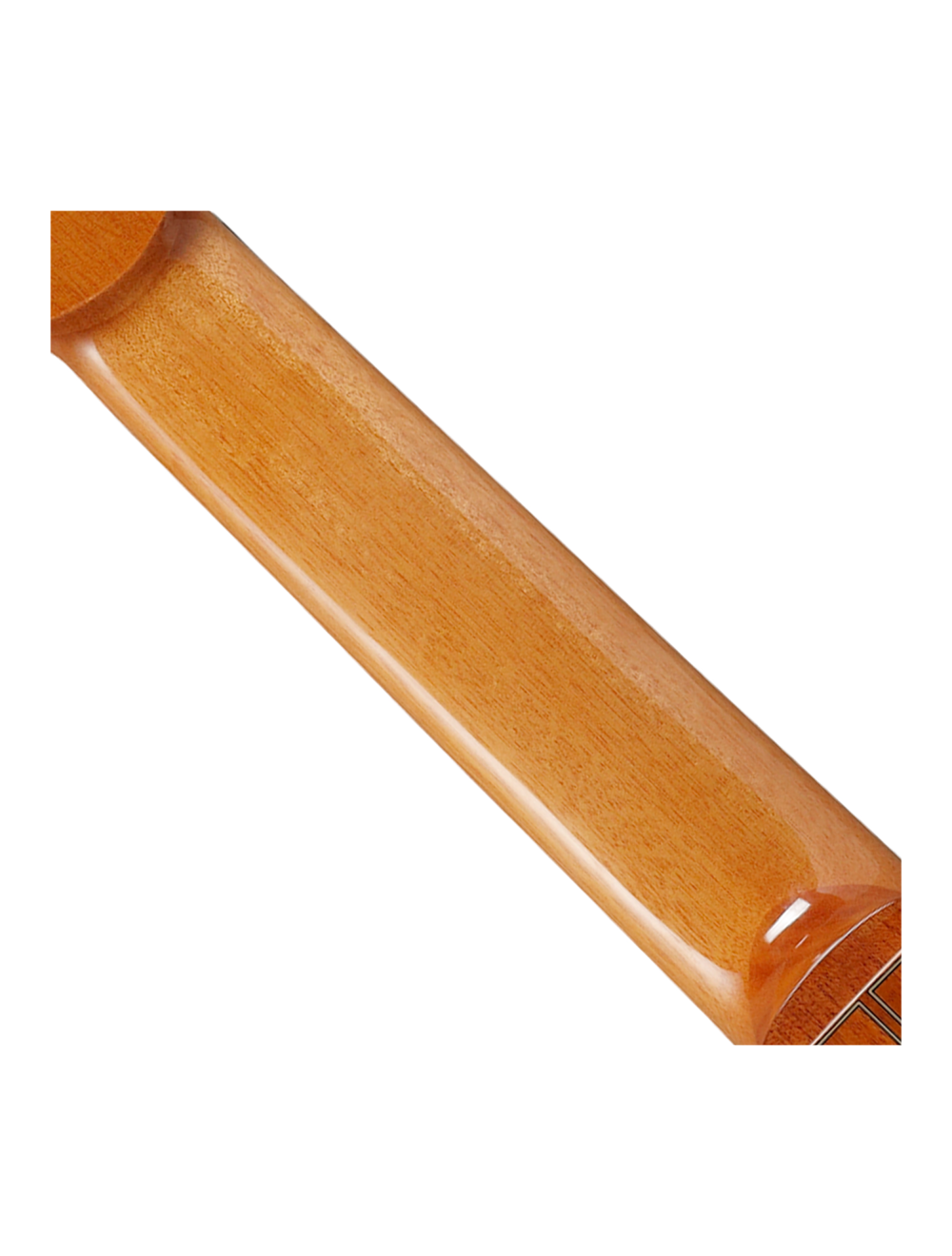 Ibanez GA3008CE 8-String A/E Nylon String Guitar w/Case - Natural High Gloss